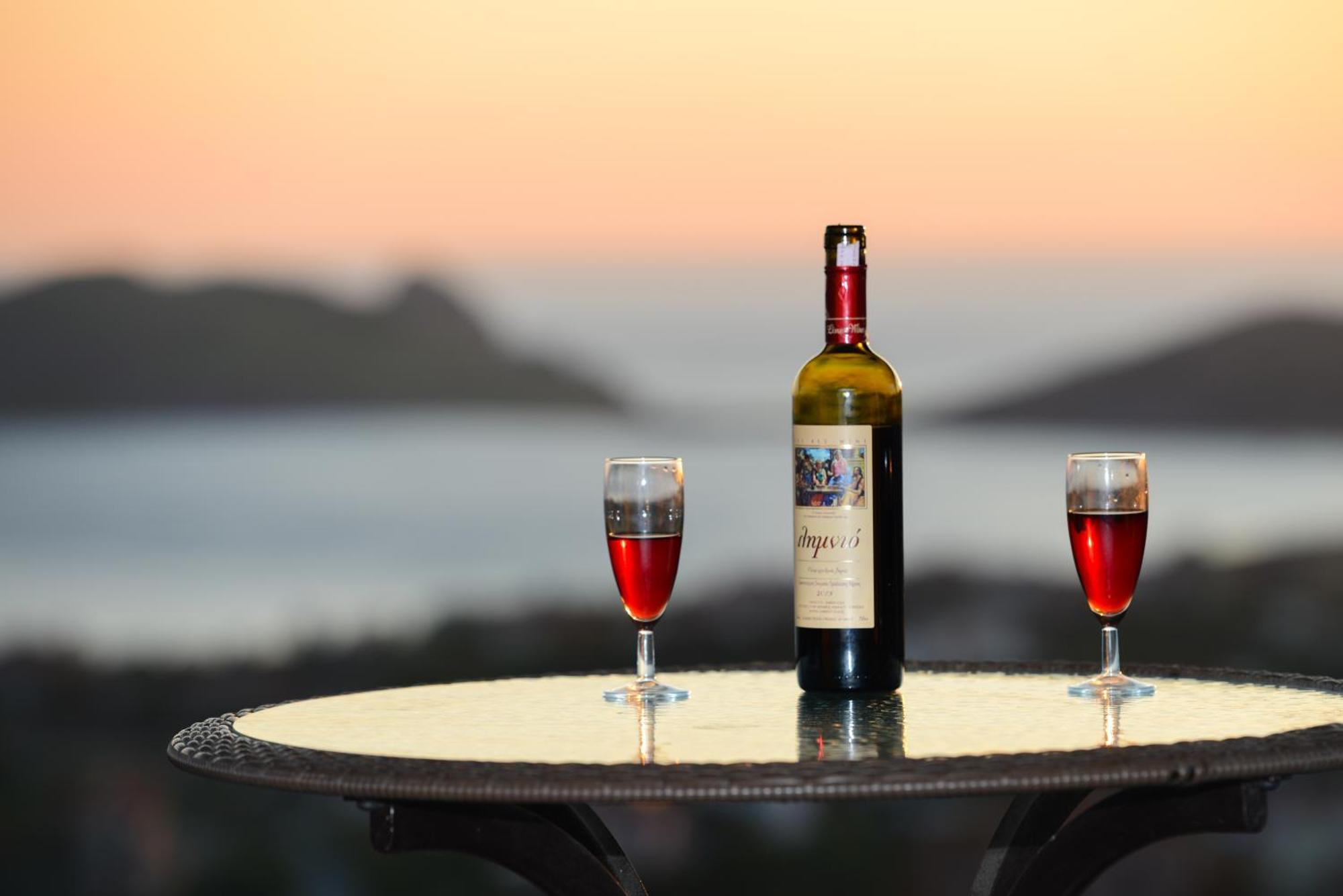 Hotel Dina - Ξενοδοχείο Ντινα Plati  Buitenkant foto
