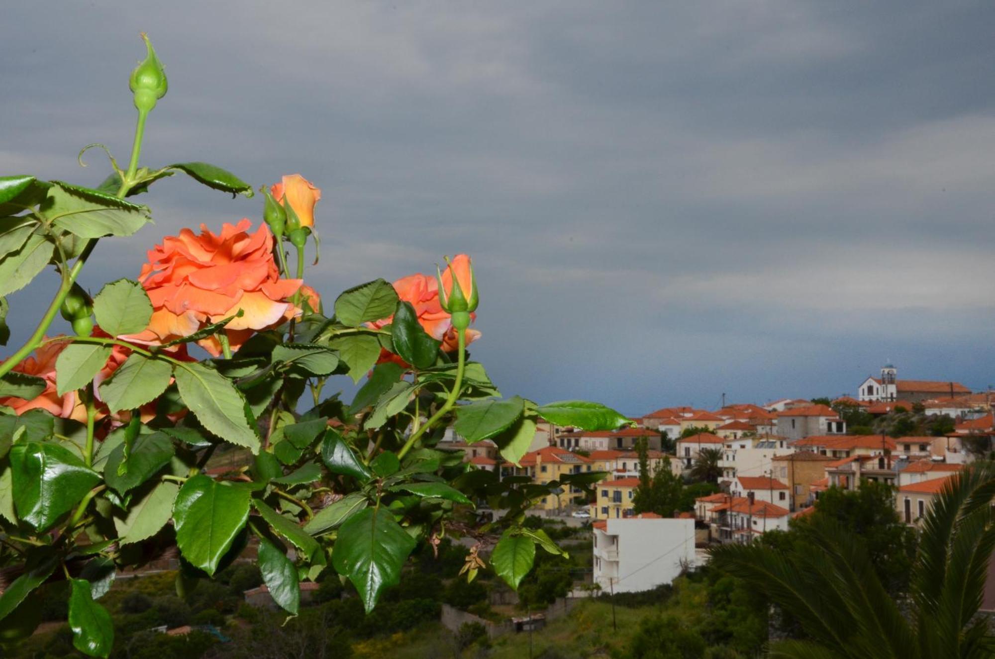 Hotel Dina - Ξενοδοχείο Ντινα Plati  Buitenkant foto