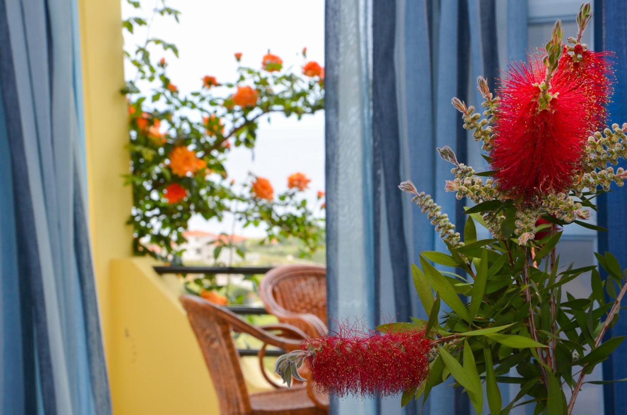 Hotel Dina - Ξενοδοχείο Ντινα Plati  Buitenkant foto
